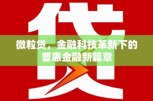 观塘微粒贷，金融科技革新下的普惠金融新篇章