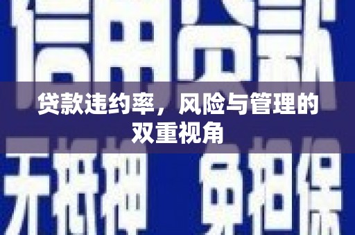 观塘贷款违约率，风险与管理的双重视角
