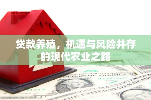 观塘贷款养殖，机遇与风险并存的现代农业之路