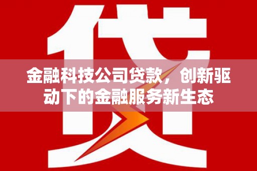 观塘金融科技公司贷款，创新驱动下的金融服务新生态