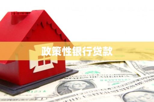 观塘政策性银行贷款