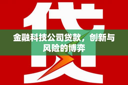 观塘金融科技公司贷款，创新与风险的博弈