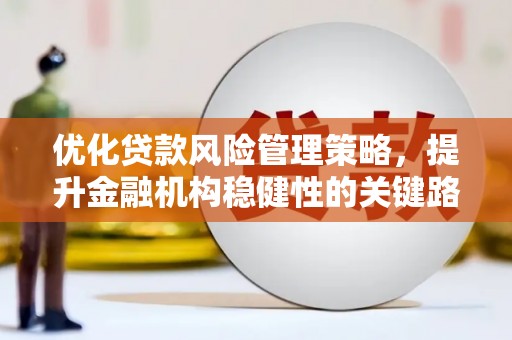 观塘优化贷款风险管理策略，提升金融机构稳健性的关键路径