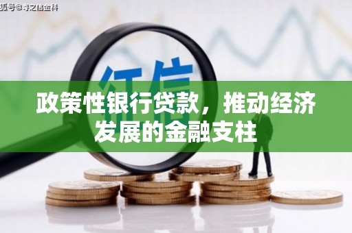 观塘政策性银行贷款，推动经济发展的金融支柱