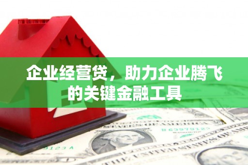 观塘企业经营贷，助力企业腾飞的关键金融工具