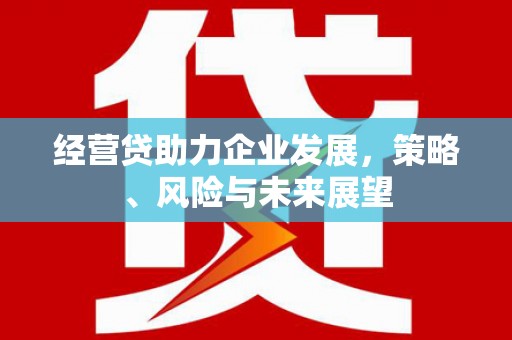 观塘经营贷助力企业发展，策略、风险与未来展望