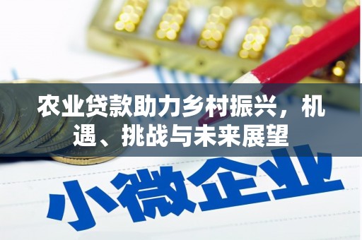 观塘农业贷款助力乡村振兴，机遇、挑战与未来展望