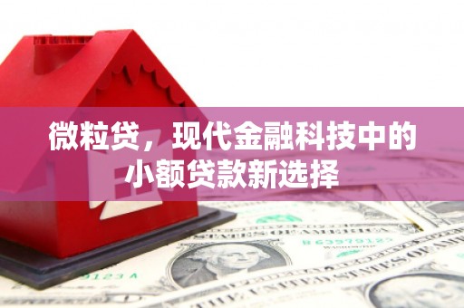 观塘微粒贷，现代金融科技中的小额贷款新选择