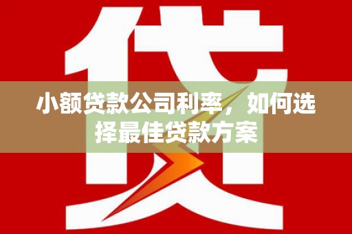 观塘小额贷款公司利率，如何选择最佳贷款方案