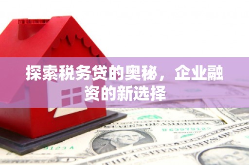 观塘探索税务贷的奥秘，企业融资的新选择