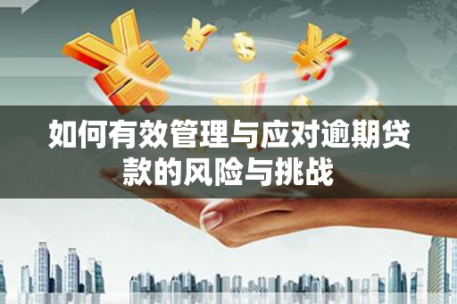 观塘如何有效管理与应对逾期贷款的风险与挑战