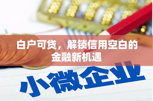 观塘白户可贷，解锁信用空白的金融新机遇