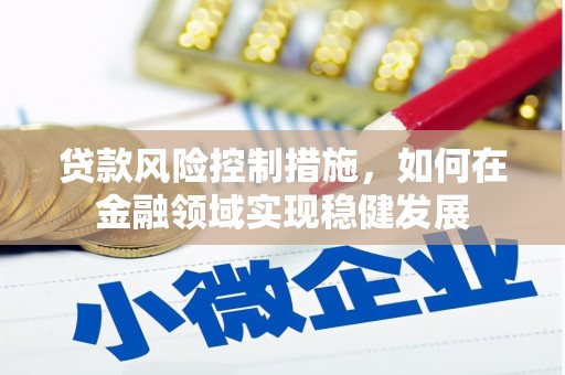 观塘贷款风险控制措施，如何在金融领域实现稳健发展