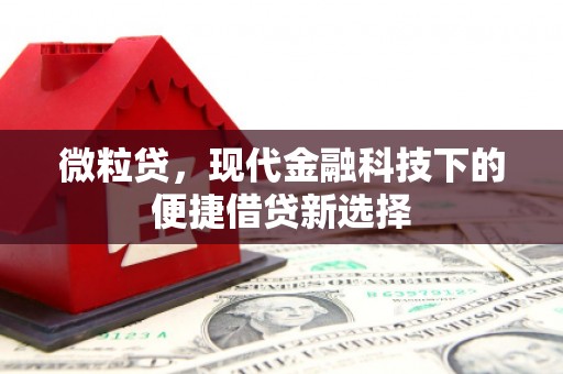 观塘微粒贷，现代金融科技下的便捷借贷新选择