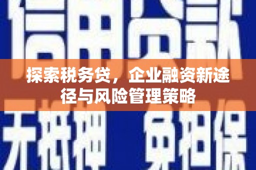 观塘探索税务贷，企业融资新途径与风险管理策略