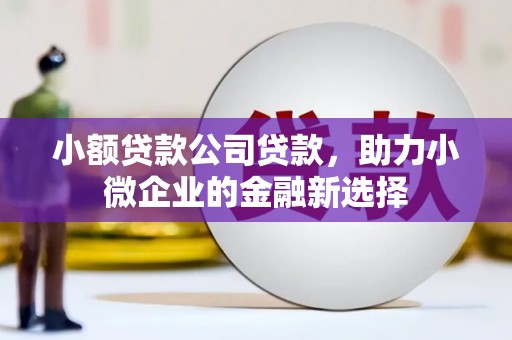 观塘小额贷款公司贷款，助力小微企业的金融新选择