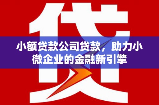 观塘小额贷款公司贷款，助力小微企业的金融新引擎
