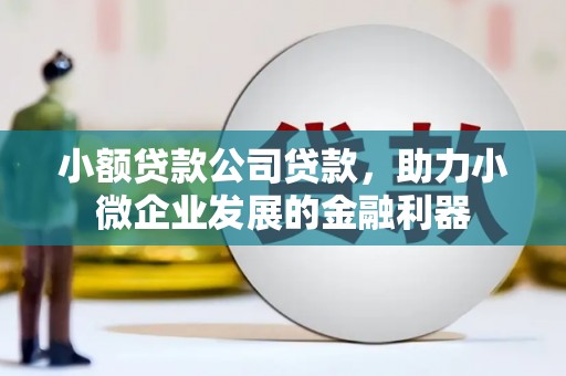 观塘小额贷款公司贷款，助力小微企业发展的金融利器