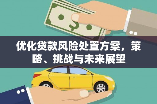观塘优化贷款风险处置方案，策略、挑战与未来展望