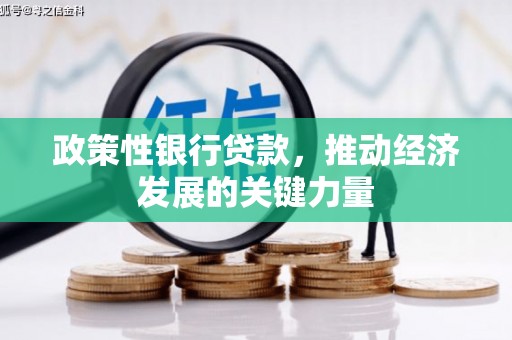 观塘政策性银行贷款，推动经济发展的关键力量