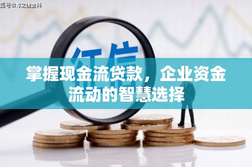 观塘掌握现金流贷款，企业资金流动的智慧选择