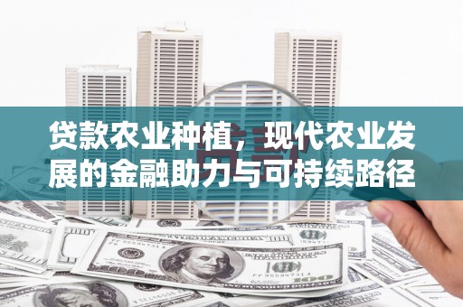 观塘贷款农业种植，现代农业发展的金融助力与可持续路径