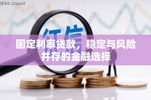 观塘固定利率贷款，稳定与风险并存的金融选择