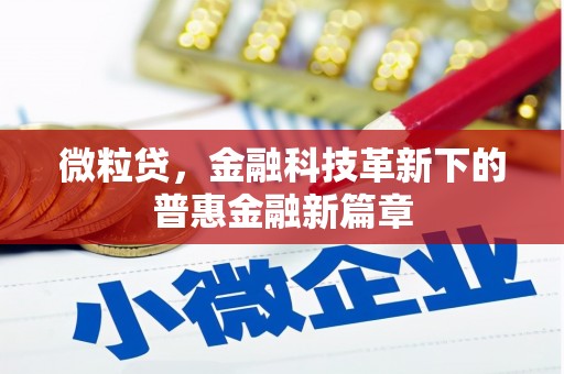 观塘微粒贷，金融科技革新下的普惠金融新篇章