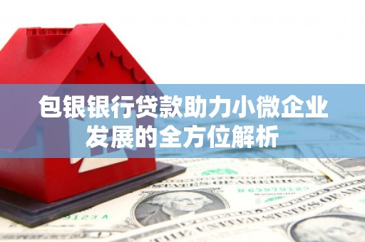 观塘包银银行贷款助力小微企业发展的全方位解析