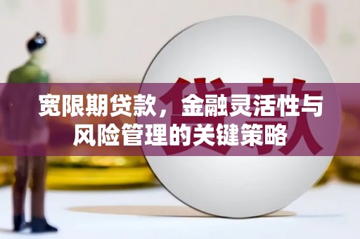 观塘宽限期贷款，金融灵活性与风险管理的关键策略