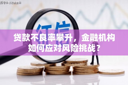 观塘贷款不良率攀升，金融机构如何应对风险挑战？