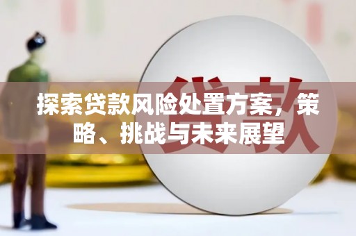 观塘探索贷款风险处置方案，策略、挑战与未来展望