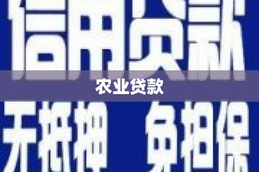 观塘农业贷款