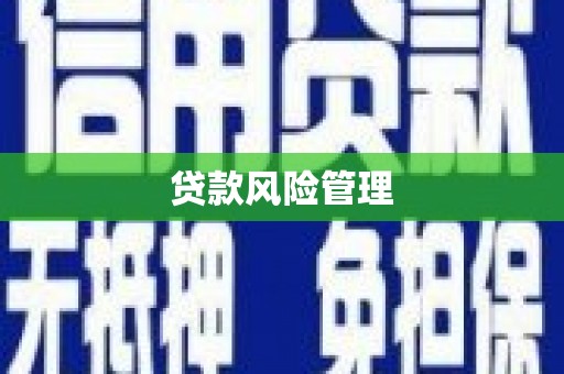 观塘贷款风险管理