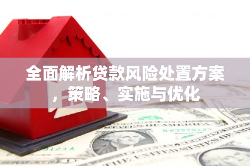 观塘全面解析贷款风险处置方案，策略、实施与优化