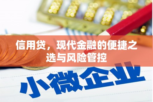 观塘信用贷，现代金融的便捷之选与风险管控