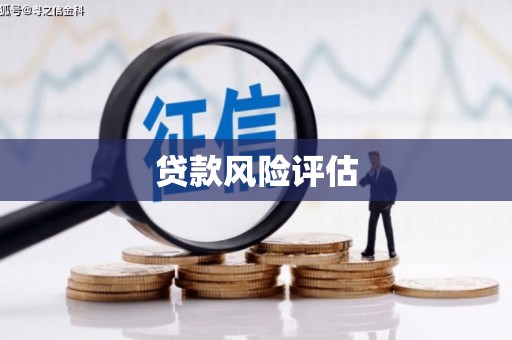 观塘贷款风险评估